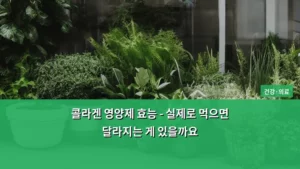 콜라겐 영양제 효능 – 실제로 먹으면 달라지는 게 있을까요