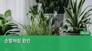 손발저림 원인, 나도 모르게 방치하면 안 되는 이유와 생활 습관 개선법