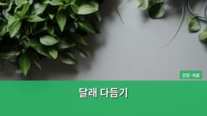 달래 다듬기, 봄철 건강을 지키는 민간요법의 모든 것