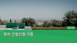 목이 간질간질 기침, 왜 생기는 걸까? 원인부터 관리법까지 꼼꼼하게 알아보기
