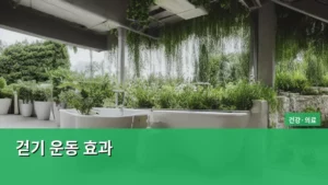꾸준한 걷기 운동 효과, 건강을 지키는 최고의 습관 탐구