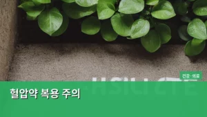 혈압약 복용 주의사항, 제대로 알고 건강하게 관리하는 법