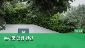 눈꺼풀 떨림 원인, 나도 모르게 생기는 떨림의 진짜 이유 파헤치기