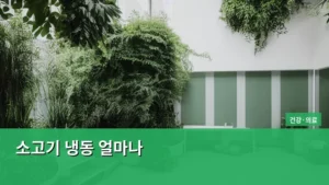 소고기 냉동 얼마나 오래 두고 먹을까? 완벽 보관 가이드
