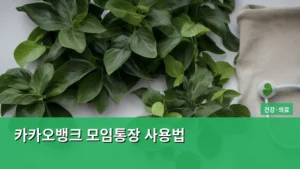 카카오뱅크 모임통장 사용법, 친구들과 돈 관리하는 가장 스마트한 방법 알아보기