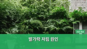 발가락 저림, 왜 생길까? 주요 발가락 저림 원인부터 해결책까지 알아본다
