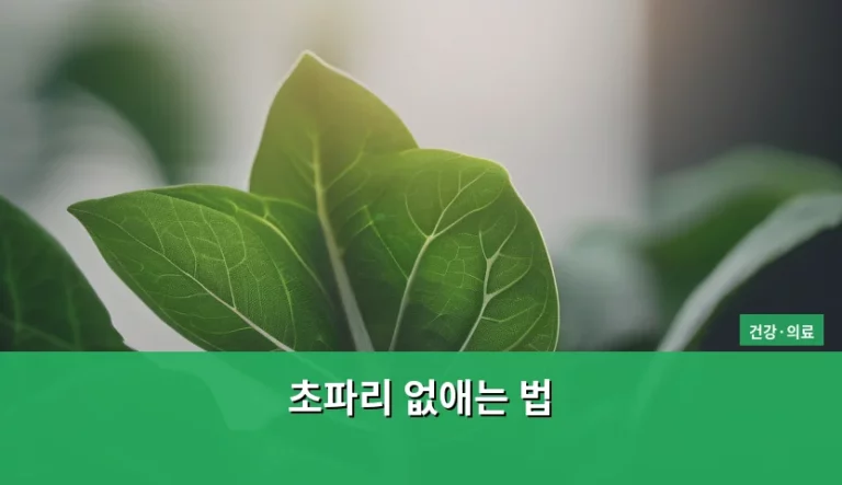 여름철 불청객, 초파리 없애는 법과 완벽한 예방 가이드