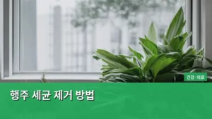 주방 위생의 핵심, 행주 세균 제거 방법으로 건강 지키기