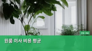 원룸 이사 비용 평균, 이것만 알면 절반은 아낀다!