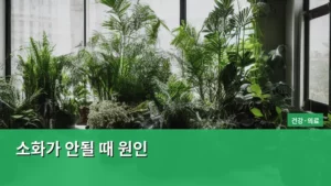 소화가 안될 때 원인, 제대로 알고 대처하는 방법 알아보기