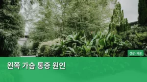 왼쪽 가슴 통증 원인, 나도 알아야 할 체크리스트