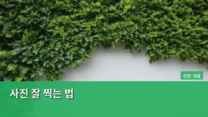 사진 잘 찍는 법, 누구나 아는 감성을 담아내는 비법 공개한다