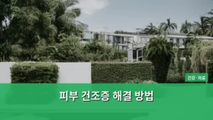 건조한 피부, 이제는 제대로 관리하는 피부 건조증 해결 방법 총정리