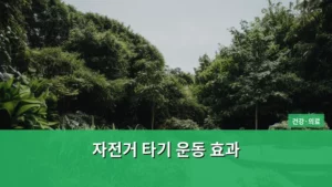 자전거 타기 운동 효과, 제대로 알고 건강하게 즐기기