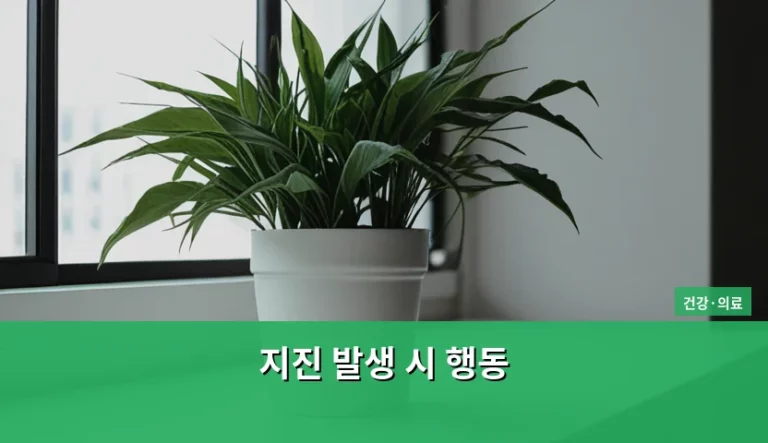 지진 발생 시 행동 요령과 장소별 안전 수칙 가이드