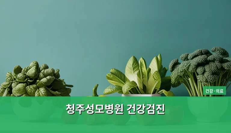 청주성모병원 건강검진 프로그램 종류와 예약 주의사항