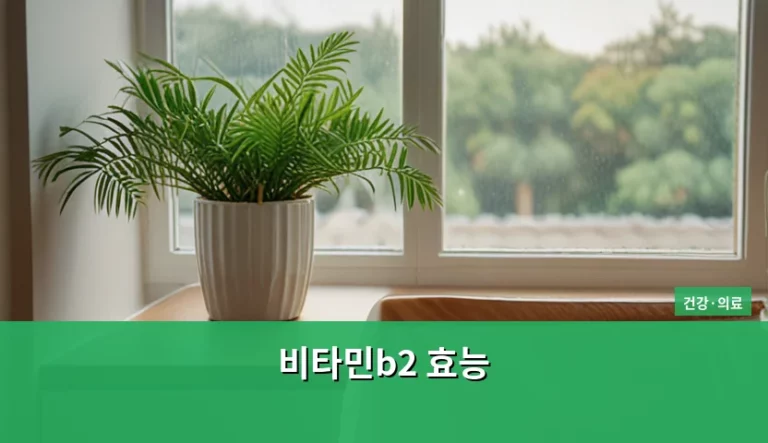 비타민B2 효능과 부족 증상 및 올바른 섭취 방법 정리
